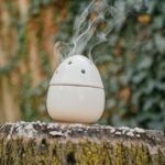 A stylish egg-shaped humidifier releasing vapor outdoors on a tree stump.