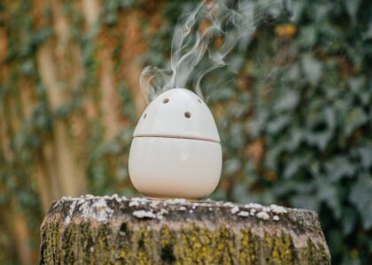 A stylish egg-shaped humidifier releasing vapor outdoors on a tree stump.
