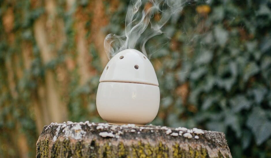 A stylish egg-shaped humidifier releasing vapor outdoors on a tree stump.