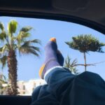 Person wearing blue and orange compression socks with feet up in a car, highlighting comfort for travel against a sunny palm tree view.