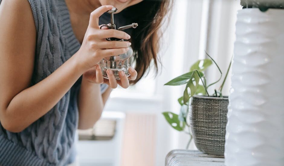 A woman smiling while using a spray bottle to water indoor plants in a cozy room.
