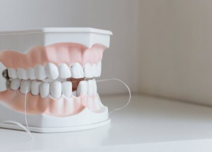 Dental model with string floss threaded between teeth, illustrating the comparison of water flossers and string floss for oral care