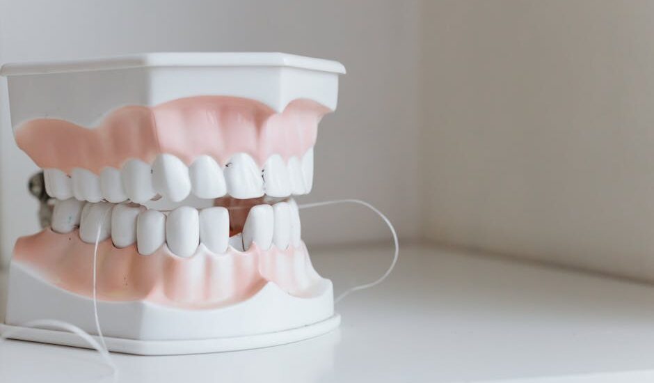 Dental model with string floss threaded between teeth, illustrating the comparison of water flossers and string floss for oral care
